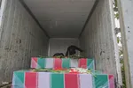مراسم استقبال از ۱۲ شهید گمنام دوران دفاع مقدس در شیراز