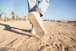معاد؛ ضامن اجرایی احکام الهی