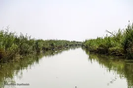 تالاب شادگان