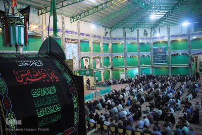 استقبال از ۶۶۵ پیرغلام و خادم حسینی