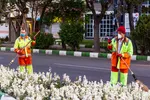 مدافعان پاکیزگی