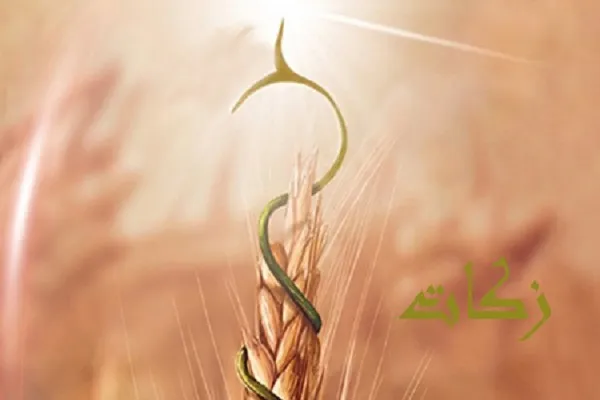 جمع‌آوری ۲۳ میلیارد ریال زکات در سروآباد