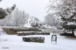 بارش نخستین برف زمستانی در ارومیه‎‎