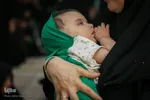 همایش شیرخوارگان حسینی در حرم حضرت معصومه (س)