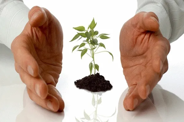Əmanətdarlıq unudulmuş bir dəyərdir (1)