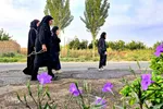 پیاده‌روی جاماندگان اربعین به سوی کربلای ایران