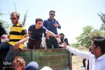 کمک‌های مردمی به سیل‌زدگان خوزستان