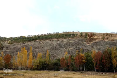 طبیعت زرد در کنار رودخانه خروشان زاینده‌رود