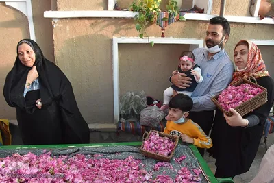 جشنواره گل محمدی در خانه تاریخی پورحسینی‌های شهر سمنان