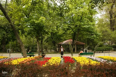 طبیعت بهاری تهران