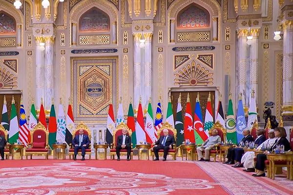اجلاس سازمان D8