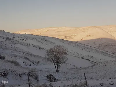 طیبعت برفی امروز در مناطق شهری و روستایی اهر