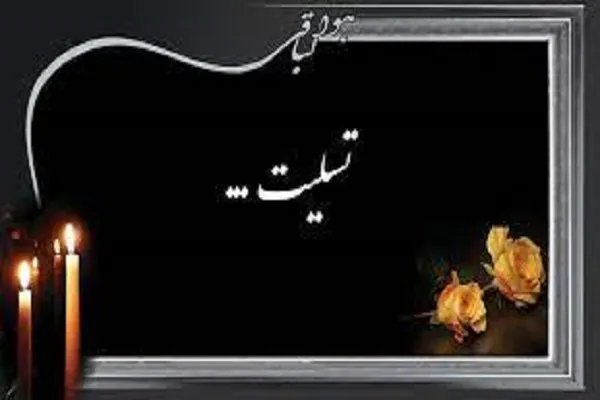 مادر شهیدان شهسواری به فرزندان شهیدش پیوست