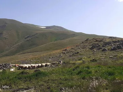 طبیعت زیبای قوشاداغ در اهر