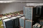 صادرات سیر؛ محصول پرخاصیت و معروف همدان