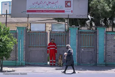 مرکز آموزش سگ‌های زنده‌یاب در شیراز‎‎