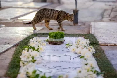 زیارت اهل قبور در پنجشنبه آخر سال