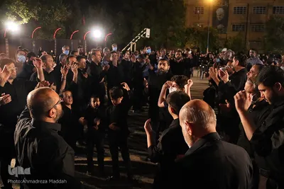 مراسم عزاداری شهادت امام حسن مجتبی(ع) در هیئت محبان ثارالله(ع) شیراز