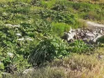 طبیعت زیبای قوشاداغ در اهر