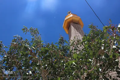 امامزاده سید محمد نقیب ـ بیرجند