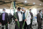 مراسم بزرگداشت روز شهدا در استان یزد‎‎