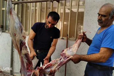 تهیه و توزیع گوشت نذری بین نیازمندان در عید قربان - شیراز