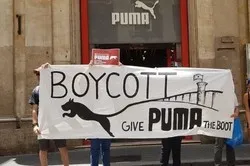 BDS: Puma a la vie misérable
