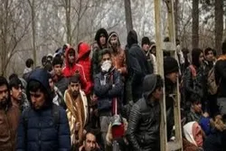 Türkiyə və Yunanıstan sərhədində 13 min qaçqın toplanıb