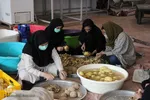 اطعام نیمه شعبان _ بیرجند