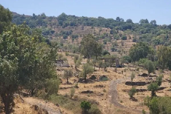 Siyonist İsrail, Suriye'nin Hermon Dağı'nı işgal etti