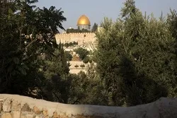 Jordanie : Aqsa ne peut pas être divisé ni dans le temps ni dans les lieux