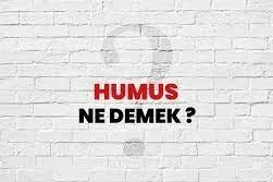 Humus vermenin önemi