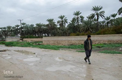 سلمان در راه مسیر بازگشت از گاوداری به خانه است. او مسیر دو کیلومتری گاوداری تا خانه را پیاده می رود.