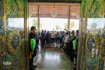 استقبال از برادران گرایی - شیراز