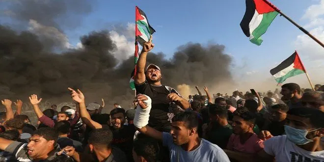 روایت مقاومت ۲۲ روزه فلسطین بر آنتن شبکه یک