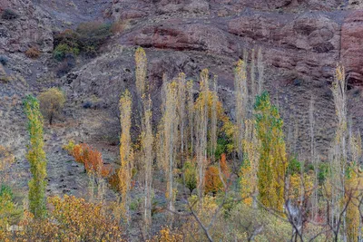 پاییز زیبای طالقان