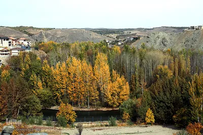 طبیعت زرد در کنار رودخانه خروشان زاینده‌رود