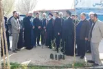 کاشت نهال به یاد رهبر شهید از سوی استاندار قم