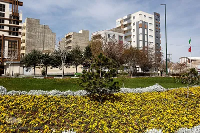 گل فرش تبریز
