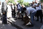 اقامه نماز عید سعید قربان در اهر