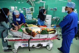 باران لبخند در کویر لب شکری های خراسان جنوبی