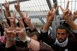 Prisoners’ Advocacy Groups Call for A Day of Rage in Support of Palestinians Held in Israeli Jails