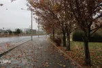 باران در پاییزی در بیرجند