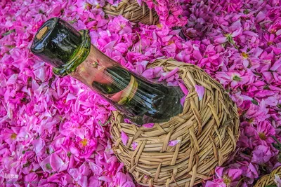 برداشت گل در میمند فارس برای دانش آموزان شهید میناب