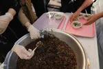 یا علی گفتیم و عشق آغاز شد