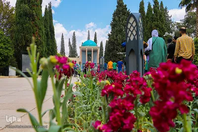 مسافران نوروزی در سعدی