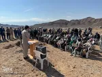کاشت ۲۰۰ هزار نهال به همت جهادگران در خراسان جنوبی