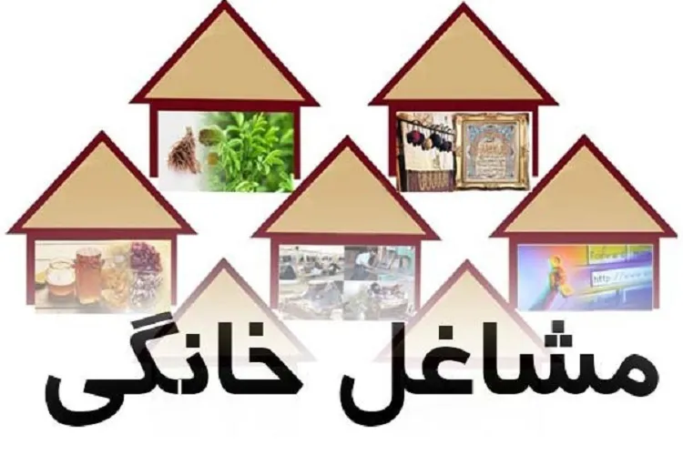 آغاز آموزش متقاضیان طرح توسعه مشاغل خانگی در فارس