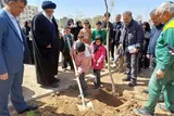 کاشت نهال به یاد شهدا در البرز