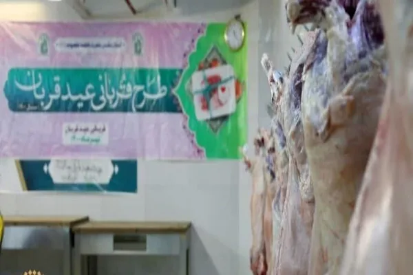 مشارکت بیش از ۵ هزار نفر در پویش «نذر قربانی» حرم بانوی کرامت